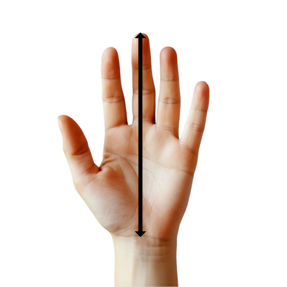 Hand grip measure 2