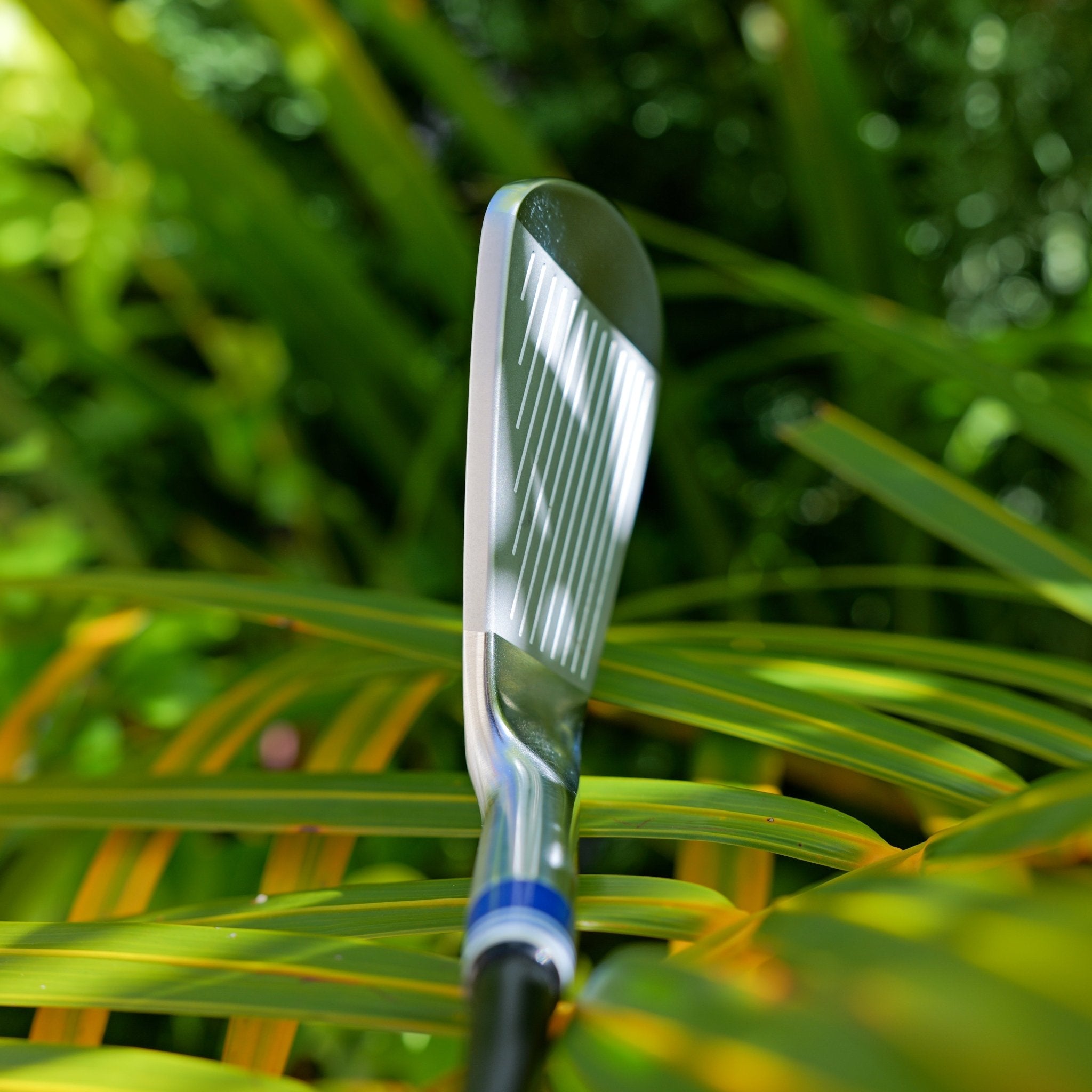 Burleigh Series CB LEFT HANDED - Haitch Golf